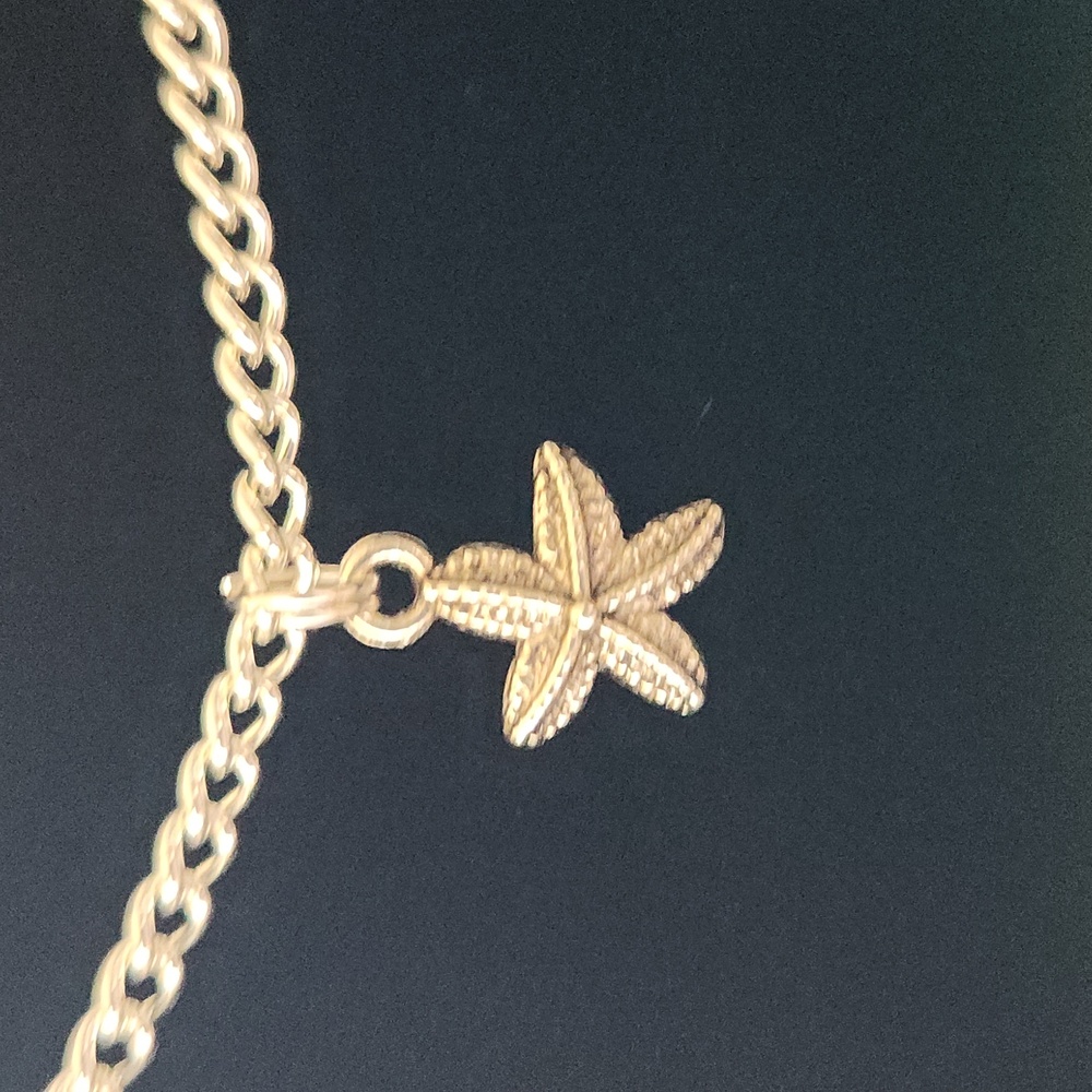Starfish - Picture 2 of 4